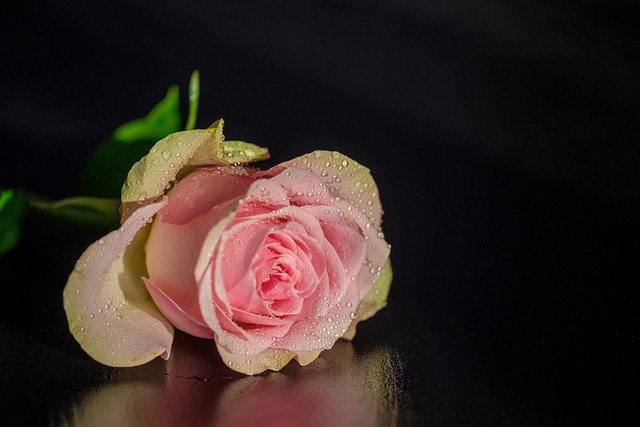 Altemplom nyitvatartása Mindenszentek és Halottak napján